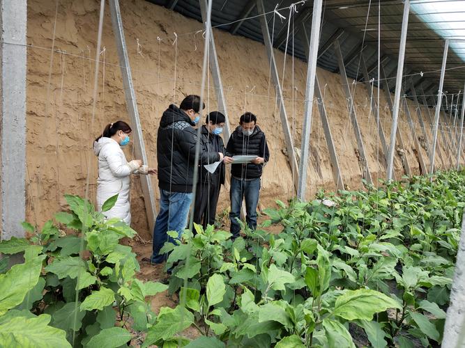 指導生產基地開展《食用農產品合格證》應用,加大蔬菜速測次數