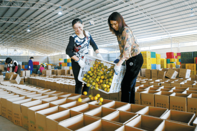 我市電商助推農產品銷售邁入“快車道”