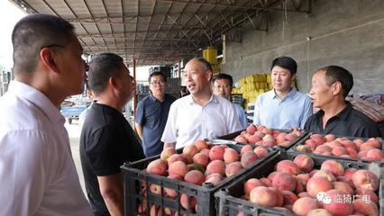 靳國全在牛杜鎮調研農機裝備發展及果品購銷工作