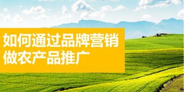 如何通過品牌營銷做農產品的推廣