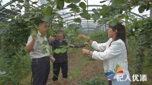 翟鎮 光 農 共生互補助力環保增收