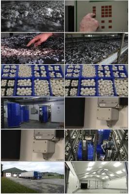 農產品包裝視頻素材下載, 農產品包裝AE模板下載
