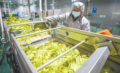 人們越來越推崇環(huán)保、低碳、健康、安全的消費(fèi)理念綠色消費(fèi)多起來(消費(fèi)視窗)