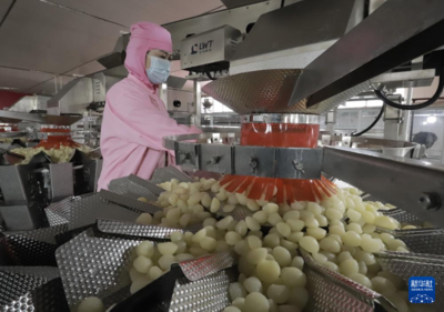 河北遵化:農產品深加工助力鄉村振興