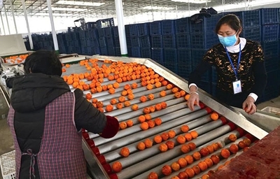 2月份農產品網銷超4億!內江發力線上銷售解農戶后顧之憂