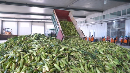 縣域商業(yè)體系建設項目 實現(xiàn)“工業(yè)品下鄉(xiāng) 農(nóng)產(chǎn)品進城”