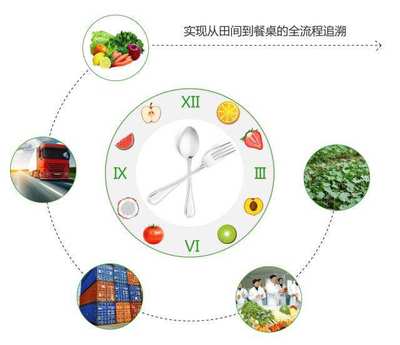 解析農(nóng)產(chǎn)品二維碼溯源系統(tǒng)