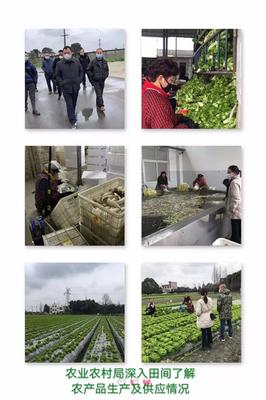 堅決打贏疫情防控攻堅戰(zhàn),郫都農(nóng)林在行動