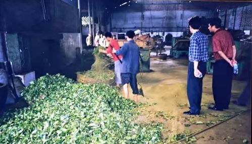 共和國同齡人 張永奎 對外貿易,從 摸著石頭過河 到滿懷信心 走出去