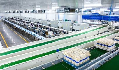 《重慶食用菌產業發展戰略研究》發布 食用菌已成為重慶第5大農產品