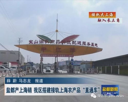 鹽都產上海銷 我區搭建接軌上海農產品 直通車