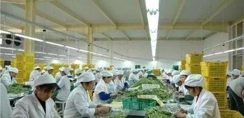 想回農(nóng)村創(chuàng)業(yè),推薦幾個(gè)適合農(nóng)村的小投資辦廠項(xiàng)目