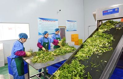 新天水-武山縣綜合施策打造優質綠色農產品全產業鏈示范高地