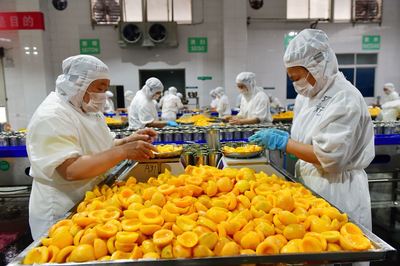 農業數字化背后:訂單量產倒逼農產品標準化