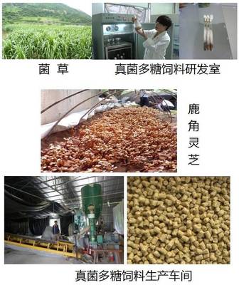 立體種養(yǎng)循環(huán)農業(yè)模式為生態(tài)試驗區(qū)建設添磚加瓦