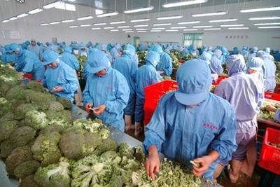 農(nóng)產(chǎn)品初加工企業(yè)免企業(yè)所得稅嗎