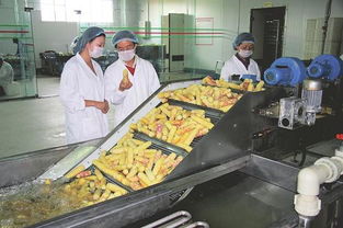 山西 深耕 農(nóng)產(chǎn)品加工業(yè)