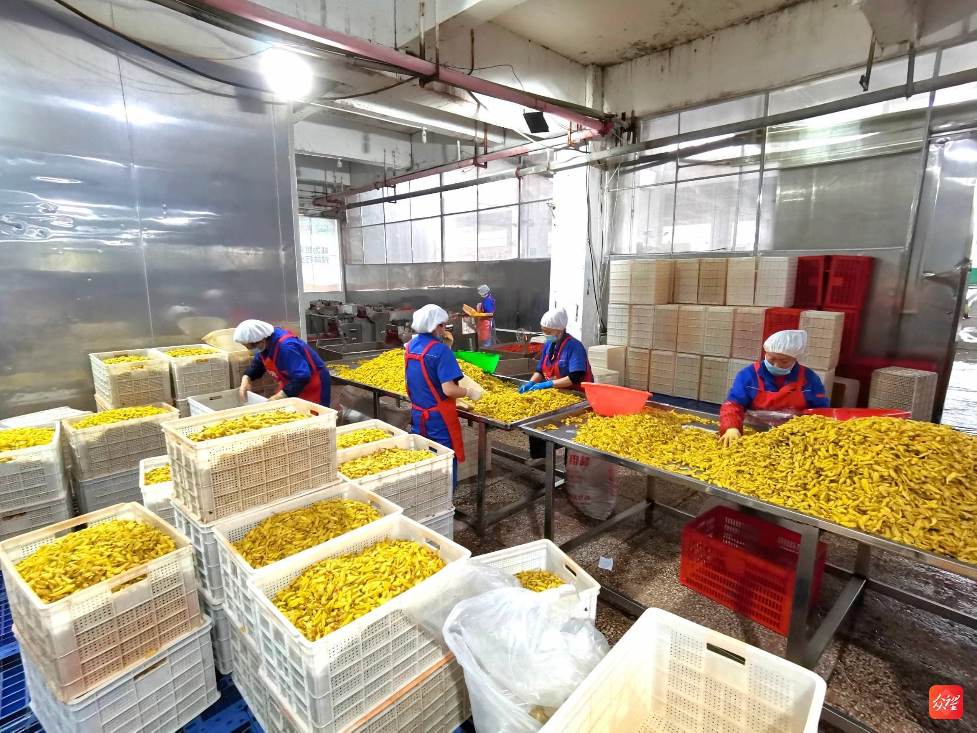 「貴州農(nóng)產(chǎn)品加工之"辣"」一頭聯(lián)農(nóng)戶一頭系市場!一瓶辣椒.