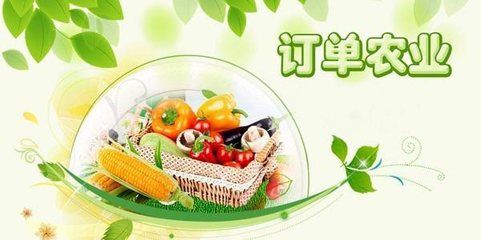 農(nóng)產(chǎn)品電商未來的五種盈利模式