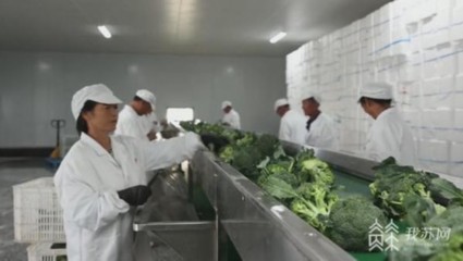 鏈接田頭和餐桌 江蘇部署加快推進農(nóng)產(chǎn)品初加工機械化高質(zhì)量發(fā)展
