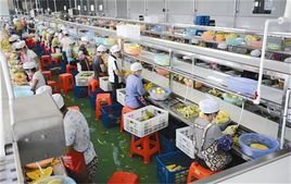 農產品深加工