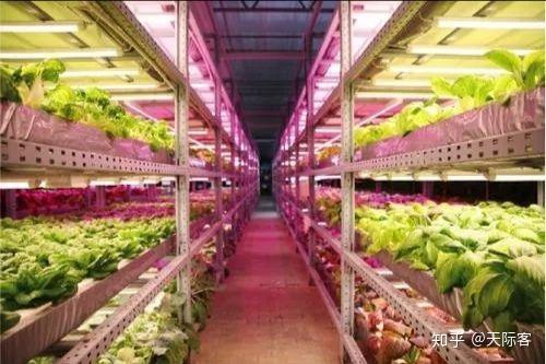農業上有什么問題,但還沒解決的嗎