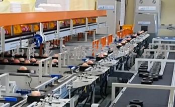 易碰水果無損傷分選流水線 助力水果產業發展