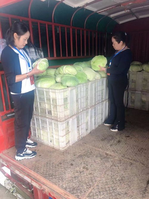 習水產投集團 助力滯銷農產品擴銷路