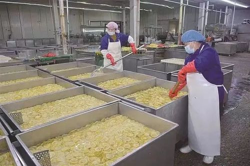 承德積極推進京津冀現代農業協同發展鳳凰網河北 鳳凰網