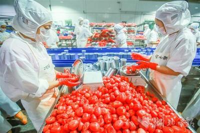 秭歸果蔬加工企業穩外貿拓渠道