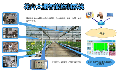 農業項目概述,實現農業生產與科技融合的創新之路