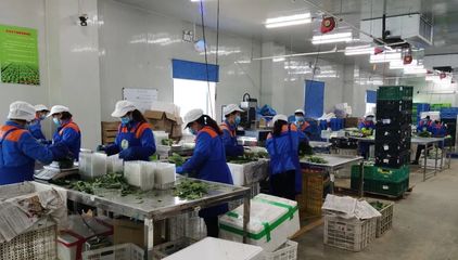 青浦:強化監督檢查,多措并舉守護市民“菜籃子”