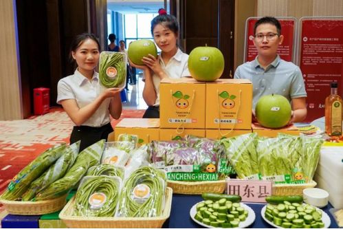 深桂攜手共建供深農產品供應鏈,以產業興旺助力鄉村振興