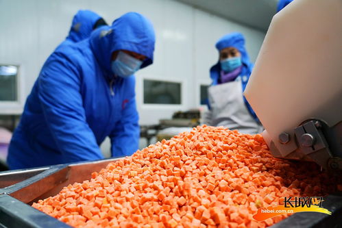 唐山開平 嚴把原料準入關 保障食品生產安全