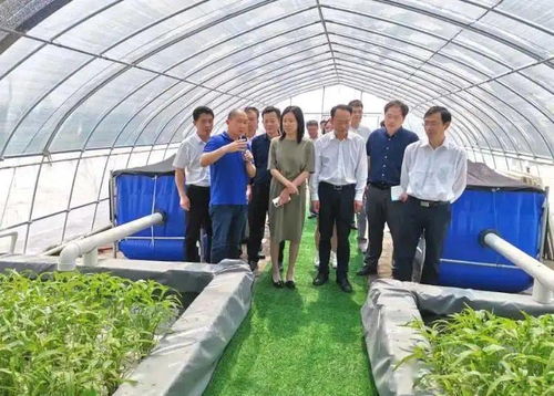 回眸2020,展望2021 太湖農業(yè)再出發(fā)