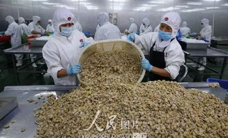 海外大賣 南通這 3 個農產品基地獲評省級示范,你吃過用過嗎