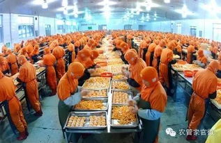 合作社福利 農業部將加大扶持農民合作社興辦
